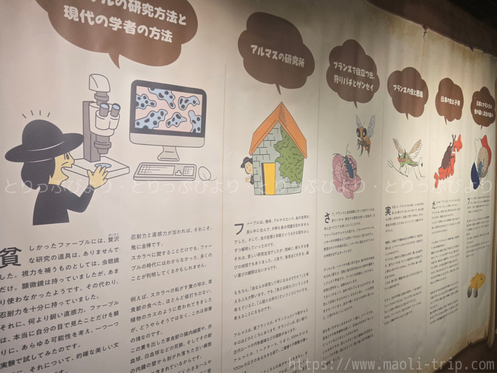 ファーブル昆虫展2025
