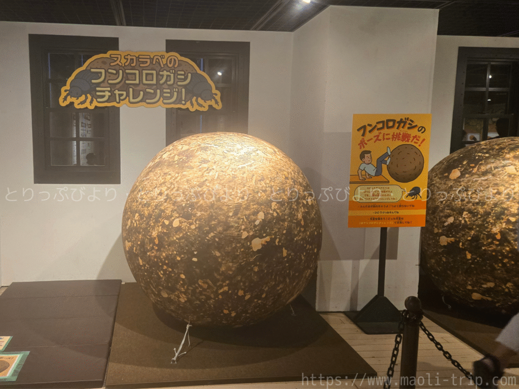 ファーブル昆虫展2025