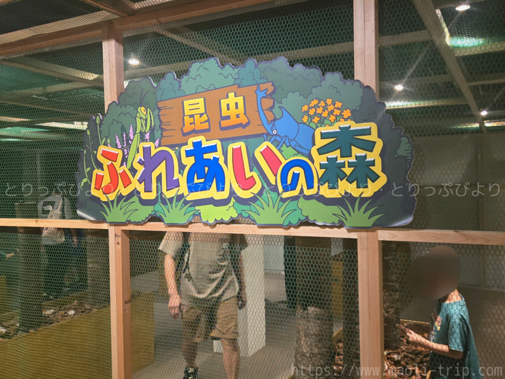 ファーブル昆虫展2025