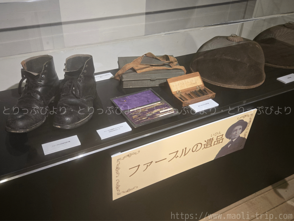 ファーブル昆虫展2025
