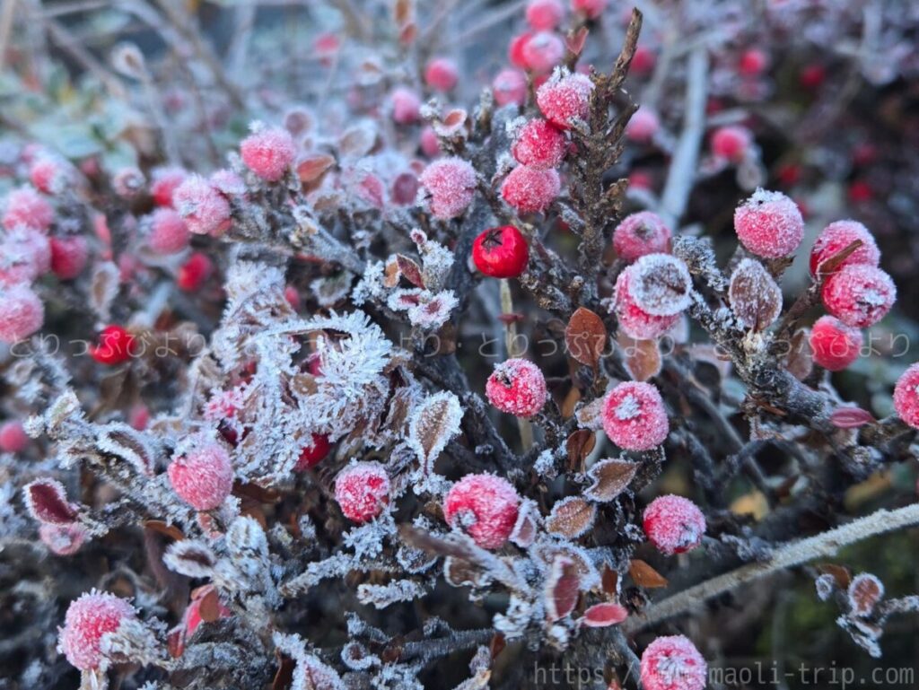 ホテル鐘山苑　滞在記