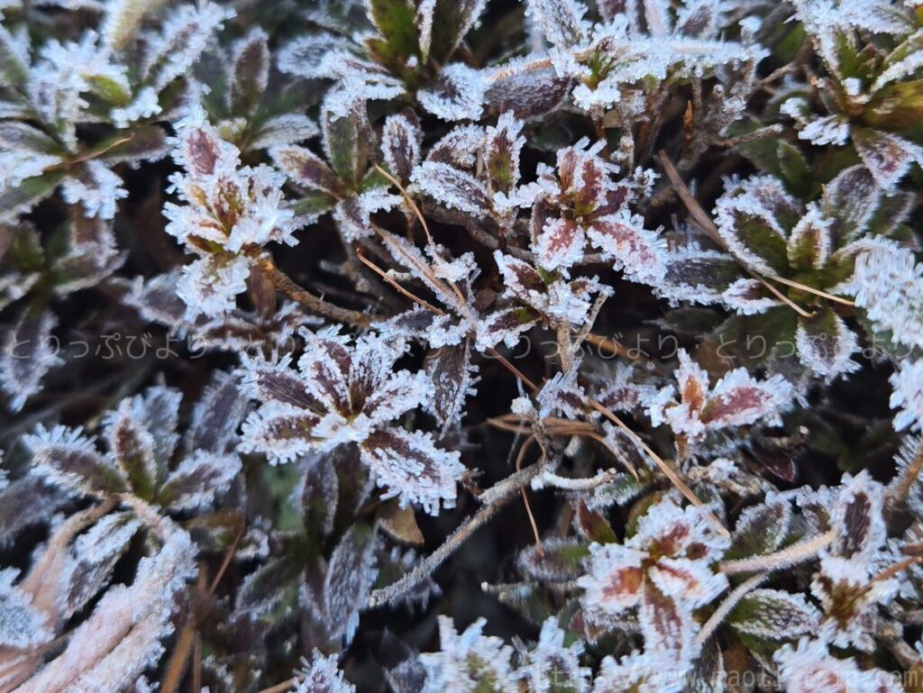 ホテル鐘山苑　滞在記