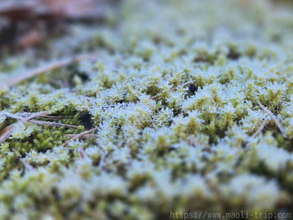 ホテル鐘山苑　滞在記