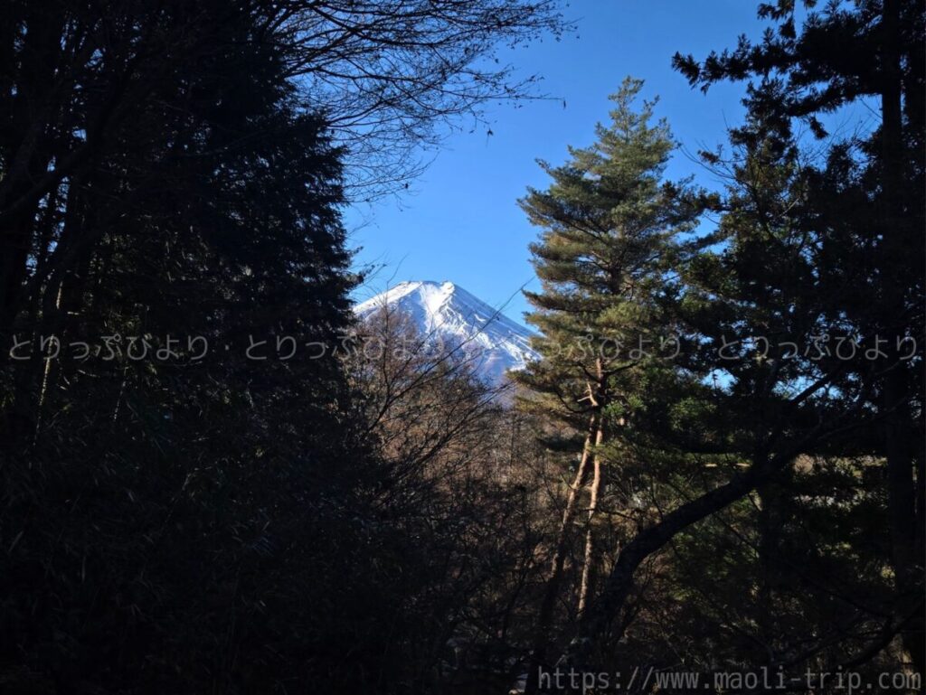 ホテル鐘山苑　滞在記