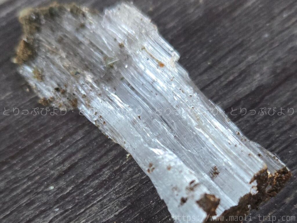 ホテル鐘山苑　滞在記