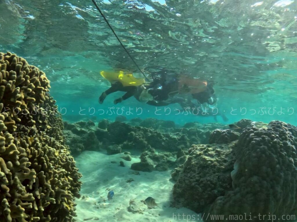 シュノーケリング いんざにつ