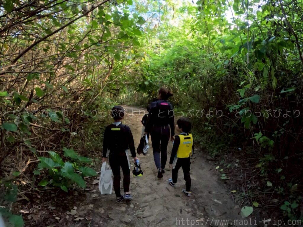 シュノーケリング いんざにつ