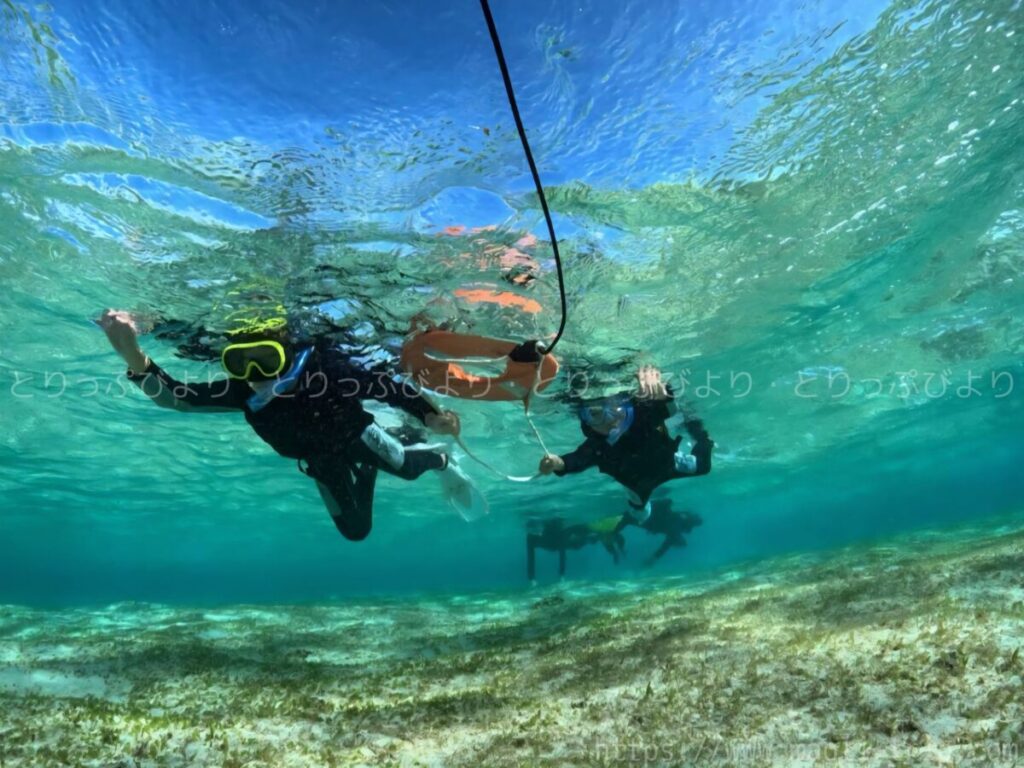 シュノーケリング いんざにつ