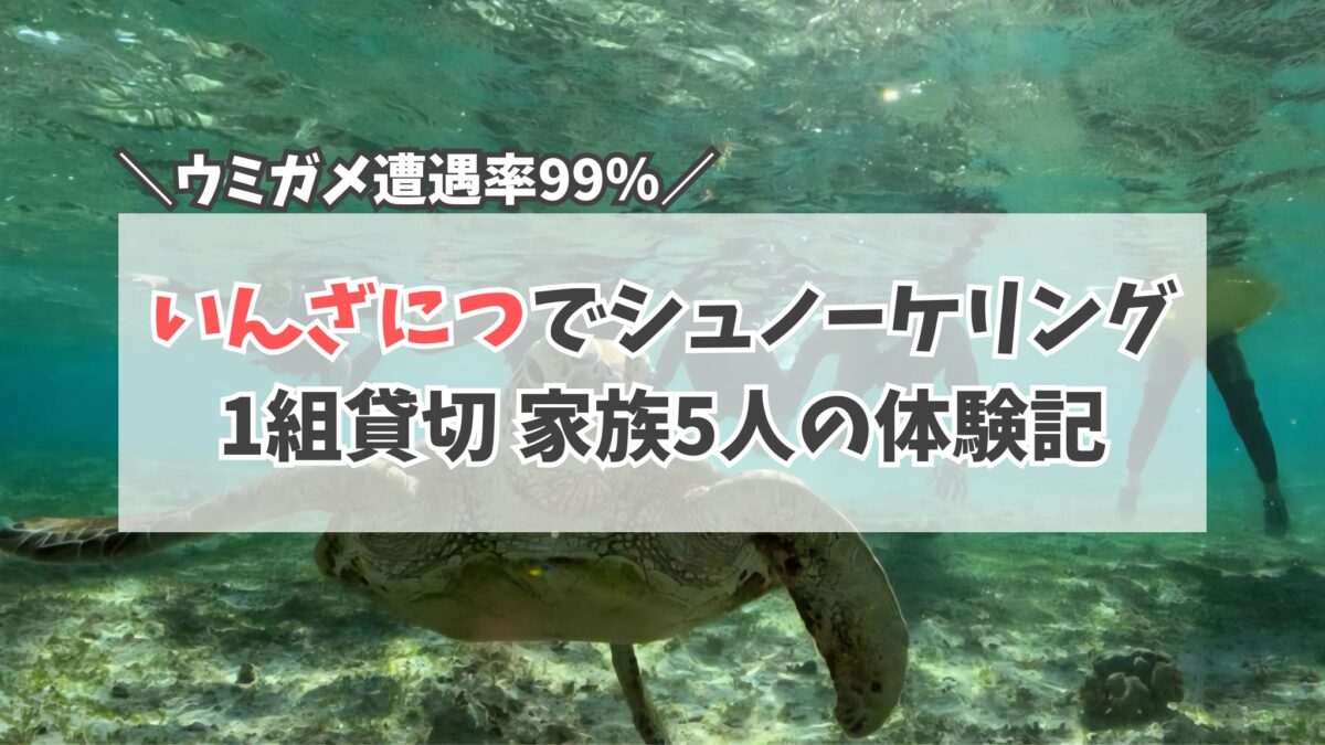 シュノーケリング　いんざにつ　サムネイル