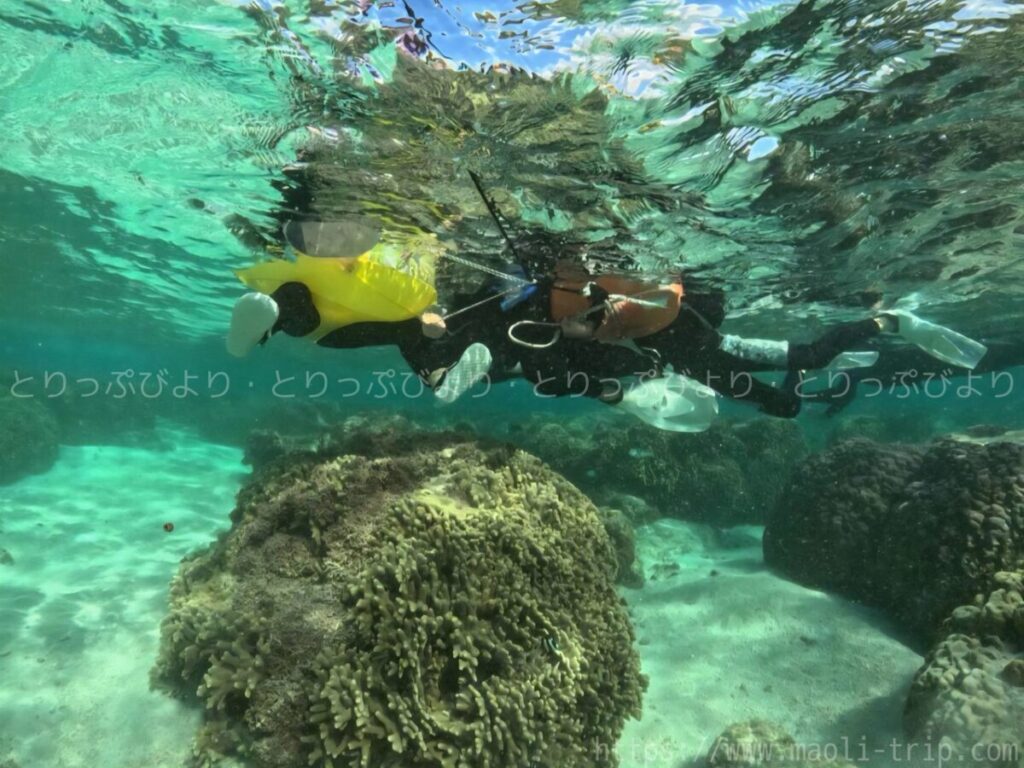 シュノーケリング いんざにつ