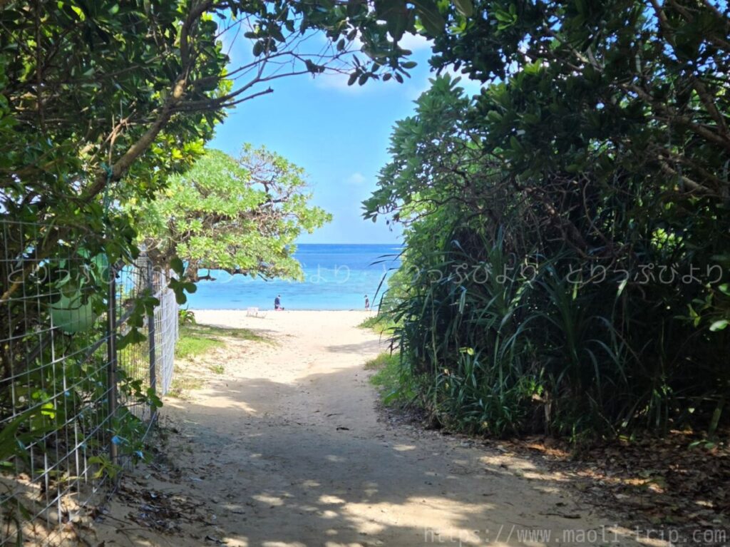 シュノーケリング いんざにつ