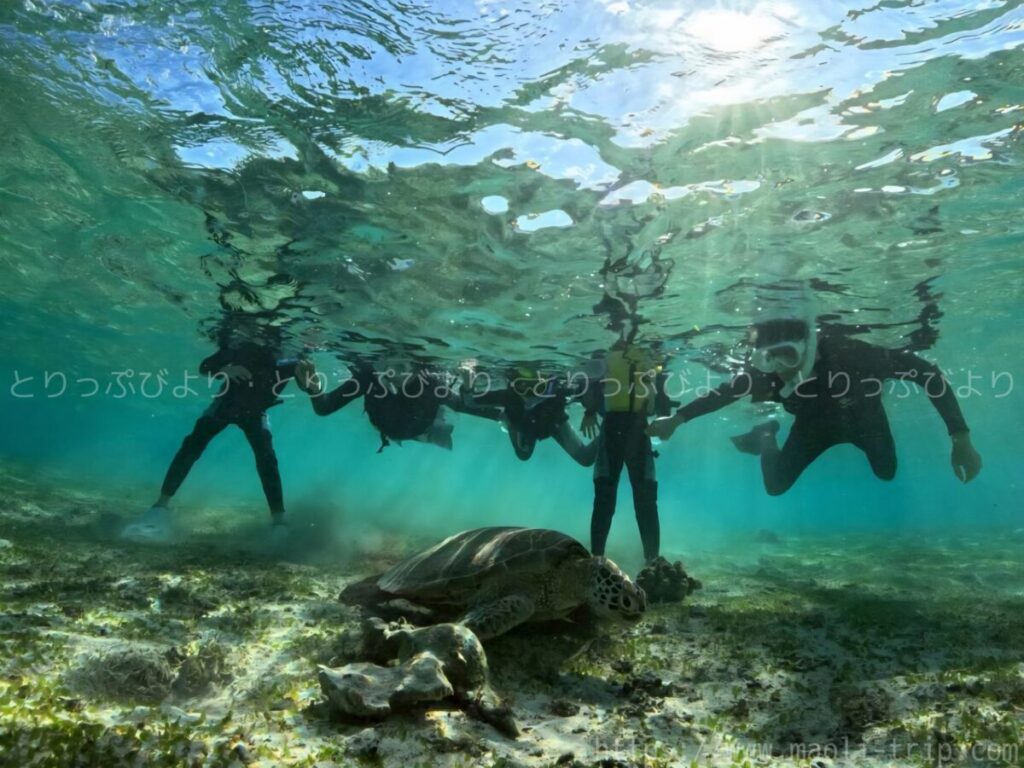 シュノーケリング いんざにつ