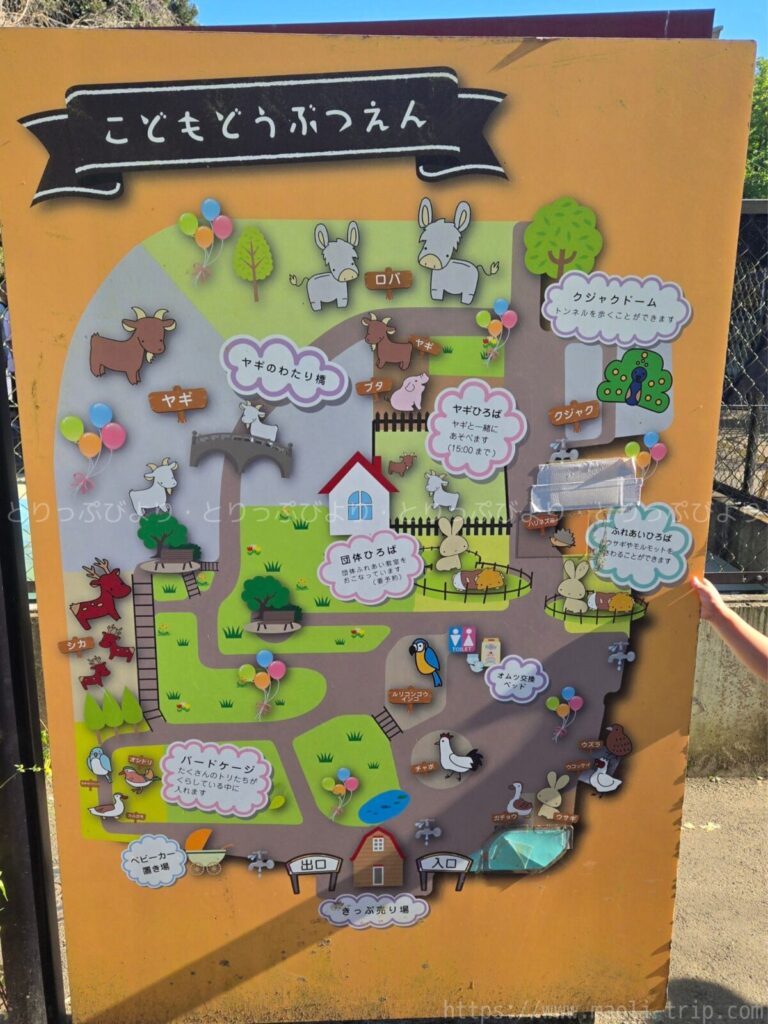 こどもの国 動物園