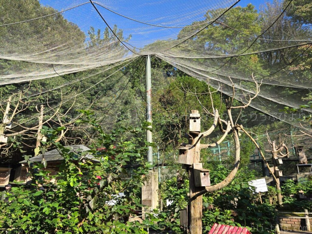 こどもの国 動物園