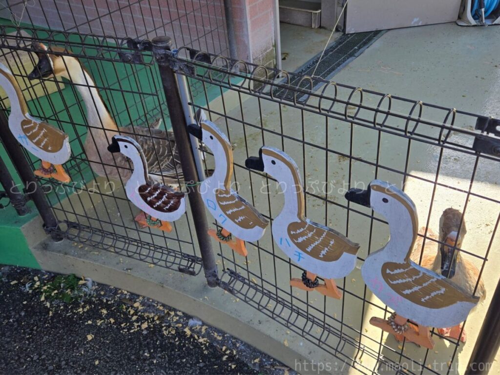 こどもの国 動物園