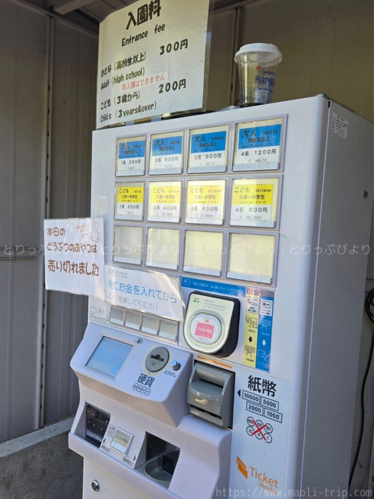 こどもの国 動物園