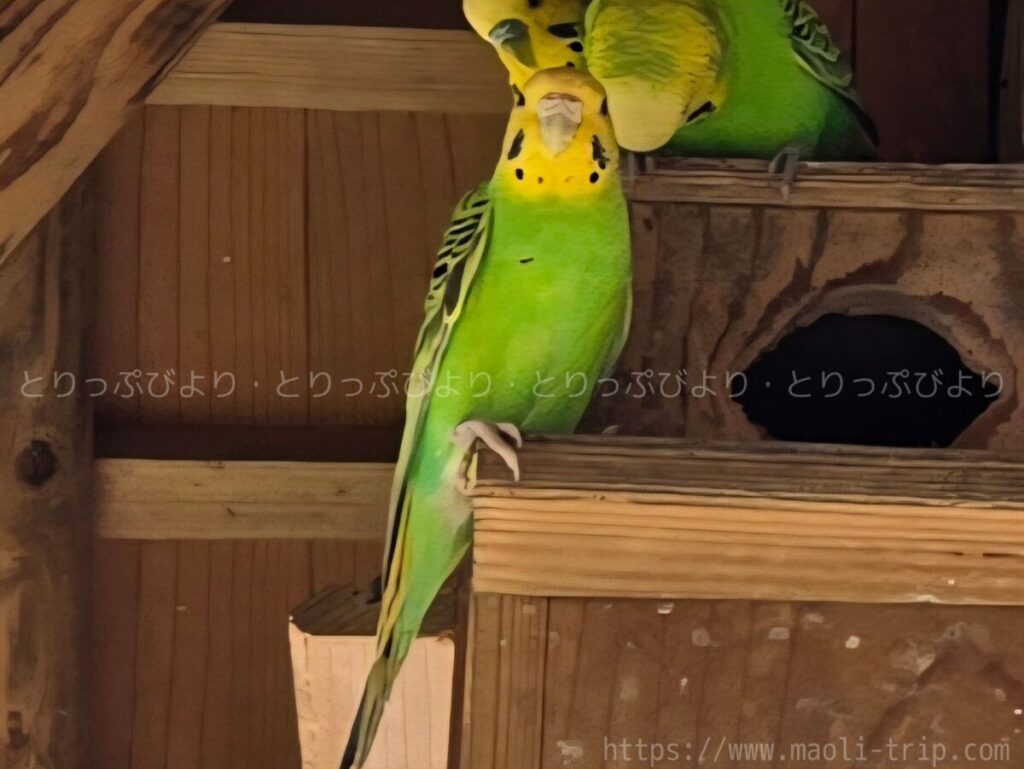 こどもの国 動物園