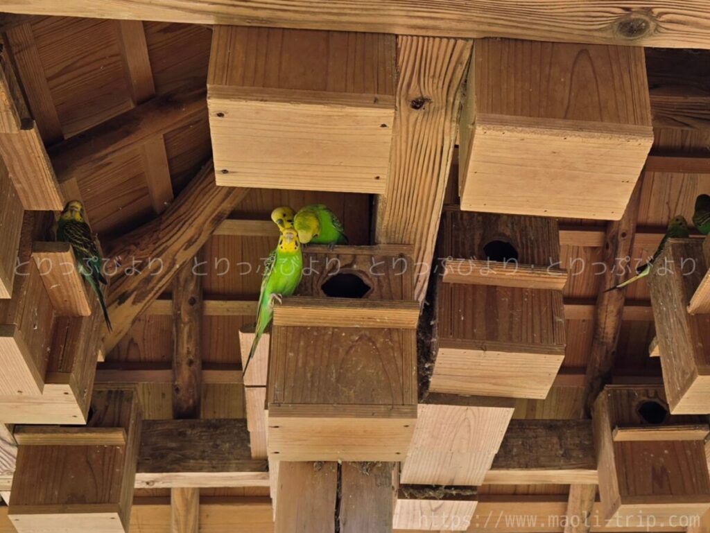 こどもの国 動物園